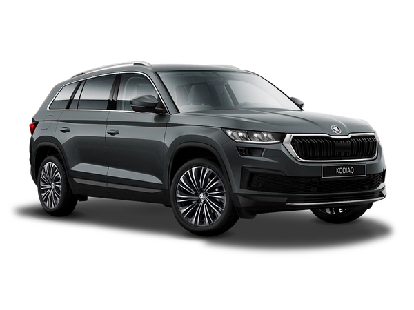 Skoda Kodiaq Серый металлик